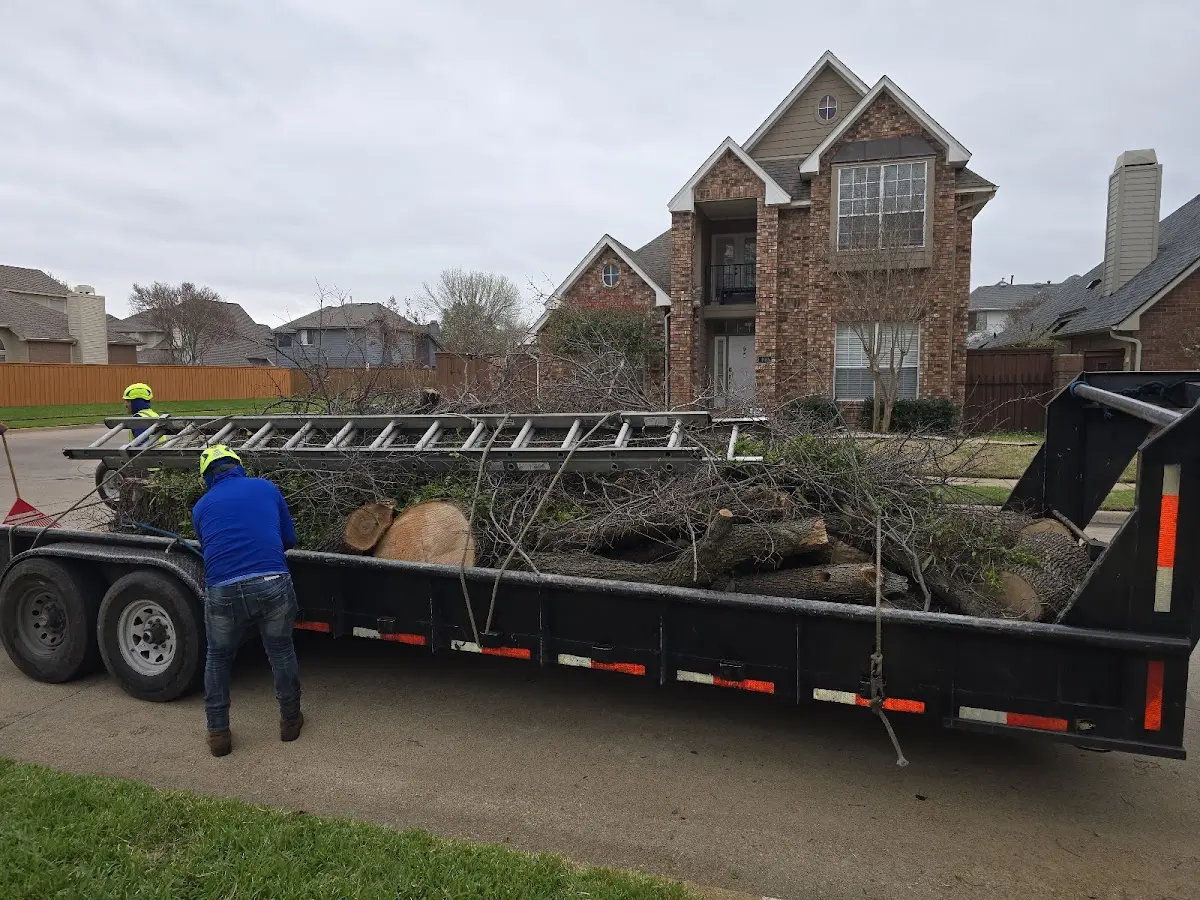 Expert Tree Fertilization with proper safety equipment in Conchas Dam
